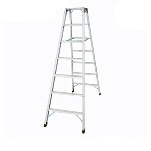 JH(Hasegawa) @͌^riVL^Cvj@7i@SWH-21V2.10m