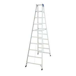 ���J��H��(Hasegawa)�@���ڋr�� �x�X�g�Z���[�@10�i�@XAM-30b���V����2.90m