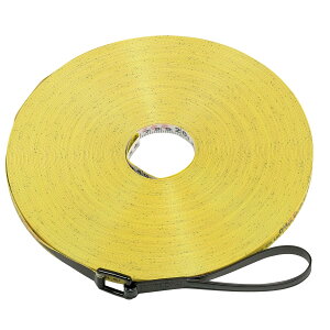 ^W} TAJIMA@VR e[v 100me[v@YSM-100R