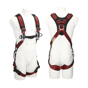 TJMfUC / ^W} TAJIMA@ySEGztn[lX^@Ztn[lXA t[TCY ԁ@A4SFAF-RE@ė~p