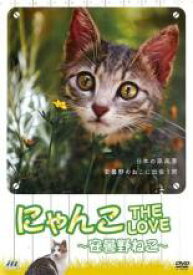 【バーゲンセール】【中古】DVD▼にゃんこ THE LOVE 安曇野ねこ レンタル落ち