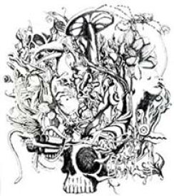 【バーゲンセール】【中古】CD▼anima CD+DVD 通常盤 レンタル落ち