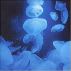 【バーゲンセール】【中古】CD▼千年回廊 レンタル落ち