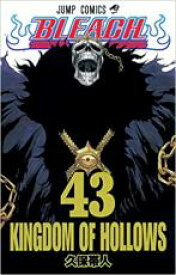 【バーゲンセール】中古 Comic▼BLEACH ブリーチ 43 レンタル落ち