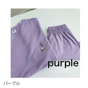 ZbgAbv fBYj[ ؍t@bVuh̕sAi 100 ĕ  V[gpc SnQ LxȃJ[o[G[V