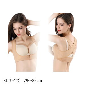 Lwxg  Ci[ fB[X oXgAbv   fB[X  pxg pT|[^[ ␳  ObY L΂ LwT|[^[ w؋xg PA 