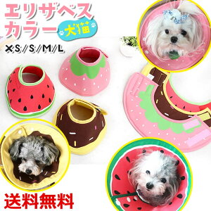 犬 エリザベスカラー 健康管理用品の人気商品 通販 価格比較 価格 Com