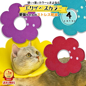 楽天市場 エリザベスカラー 猫 ソフトの通販