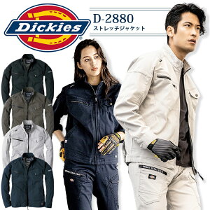 fBbL[Y WPbg  Xgb` D-2880 jp Y fB[X u] Wp[   lC JWA i ƕ ƒ DickiesySS-5Lz