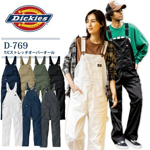 fBbL[Y Ȃ I[o[I[ jp Tybg T/CXgb` D-769 Y fB[X ƒ ƕ Dickies  H  _ _ d Lv AEghA DIY ciM 