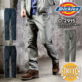 ディッキーズ カーゴパンツ 作業着 ズボン D-2915 ストレッチ ヘリンボーン 男女兼用 春夏 秋冬 作業服 かっこいい メンズ レディース ミリタリー おしゃれ カジュアル 動きやすい Dickies【SS-6L】