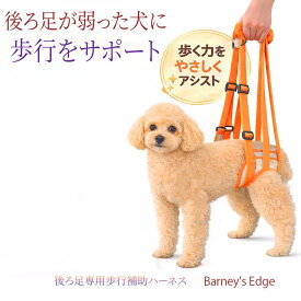 10%OFF+P5倍 歩行補助ハーネス 犬 Sサイズ Mサイズ オレンジ 1セット ペットハーネス 犬歩行補助ハーネス 犬用歩行補助具 犬用歩行補助ハーネス 犬介護用ハーネス 後ろ足 老犬介護用品 老犬介護グッズ 老犬歩行補助 犬に優しい 後ろ足用 力が入らない サポート 介護ハーネス