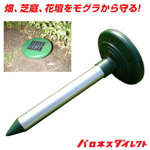 \[[Oh g U Q Oގ O΍ O쏜 O悯