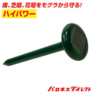 nCp[E\[[ Oh ώ g U Q Oގ O΍ O쏜 O悯