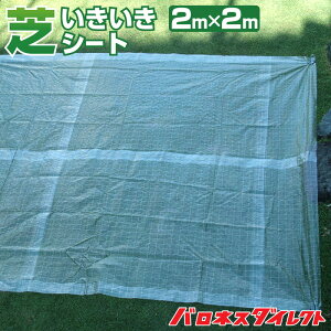 iۉEێV[gyŐ{pz olX PVAłV[g2m×2m