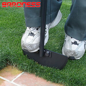 olX ^[tJb^[ GbW؂ ؂ XCVO Ő̂ { h BARONESS