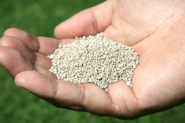 楽天市場】ゴルフ場も太鼓判!バロネス 芝生の肥料 5kg 緩効性IB窒素入り化成肥料 細粒タイプ 10-10-10 粒状 芝のお手入れ 共栄社 : 芝生 のことならバロネスダイレクト 楽天市場】ゴルフ場も太鼓判!バロネス 芝生の肥料 5kg 緩効性IB窒素入り化成肥料 細粒タイプ 10-10-10 粒状 芝のお手入れ 共栄社 : 芝生 のことならバロネスダイレクト
