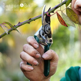 Burgon&Ball バイパスタイプ 剪定はさみ グリーン MAX15mm 英国ブランド ギフト