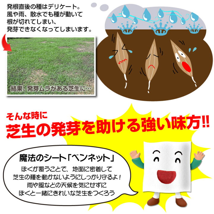 楽天市場 種まきの補助資材 魔法のシート 10ｍ切り売りタイプ ベンネット 1 7m 10m 芝生のことならバロネスダイレクト