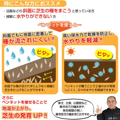楽天市場 種まきの補助資材 魔法のシート 10ｍ切り売りタイプ ベンネット 芝生のことならバロネスダイレクト