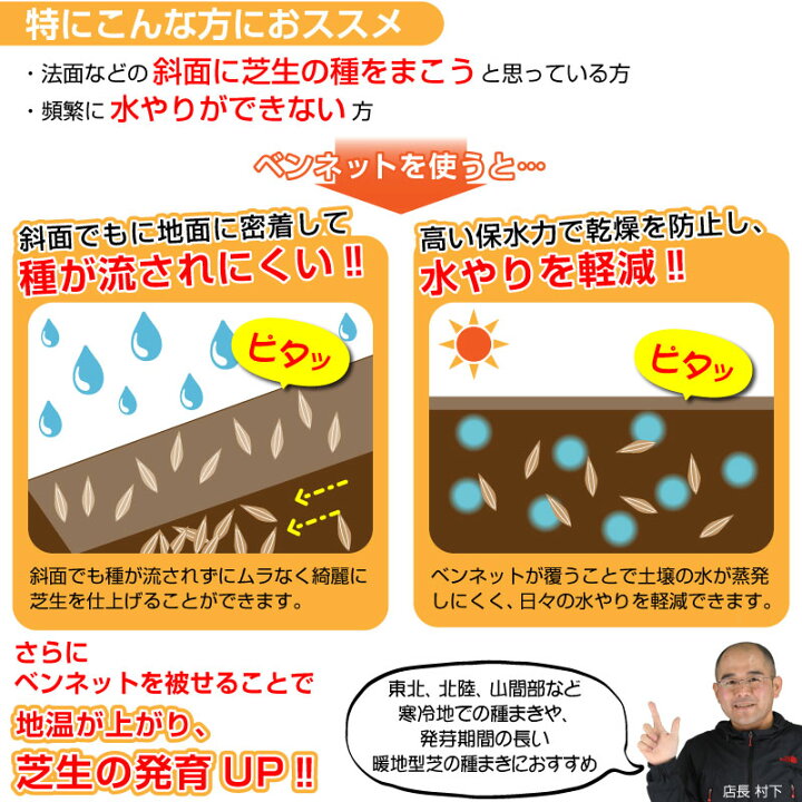 楽天市場 種まきの補助資材 魔法のシート 10ｍ切り売りタイプ ベンネット 1 7m 10m 芝生のことならバロネスダイレクト