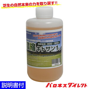 Őpy늈 olX ZkLgT 1L 300`500ėp 300`500{