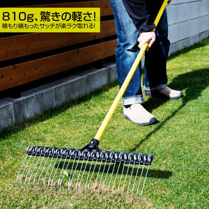 yԌZ[z ŐpXvOTb`[L F ܕ53cm ܐ28{