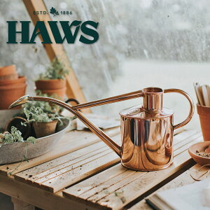 p HAWS ChAJ 1L Mtg 傤 WE  