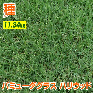 種 芝の種の人気商品 通販 価格比較 価格 Com