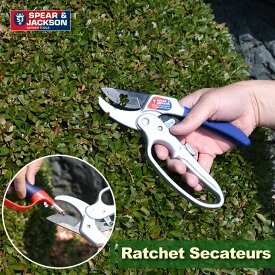 楽天市場 ガーデニング ハサミ イギリスの通販