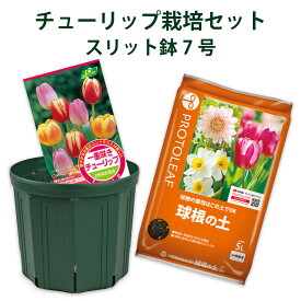 球根 チューリップ 栽培セット 球根4球＆KANAYA スリット鉢7号＆プロトリーフ 球根の土5L カネコ種苗 ジェーガーデン