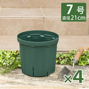KANEYA �X���b�g�� 7�� ���a21cm ���X�O���[�� 1�� 2�� 4�Z�b�g �v���X�`�b�N�A�ؔ� CSM-210 ����Y��