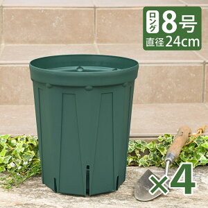 KANEYA �X���b�g�� 8�������O ���a24cm ���X�O���[�� 1�� 2�� 4�Z�b�g �v���X�`�b�N�A�ؔ� CSM-240L ����Y��