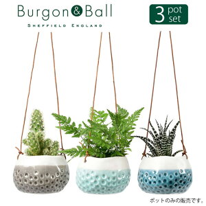 Burgon & Ball xCr[hbeB nMO|bg t[|bg 3FZbg puh Aؔ ꌊȂ Mtg ݂蔫 ϗtA A v^[   u[ O[ F