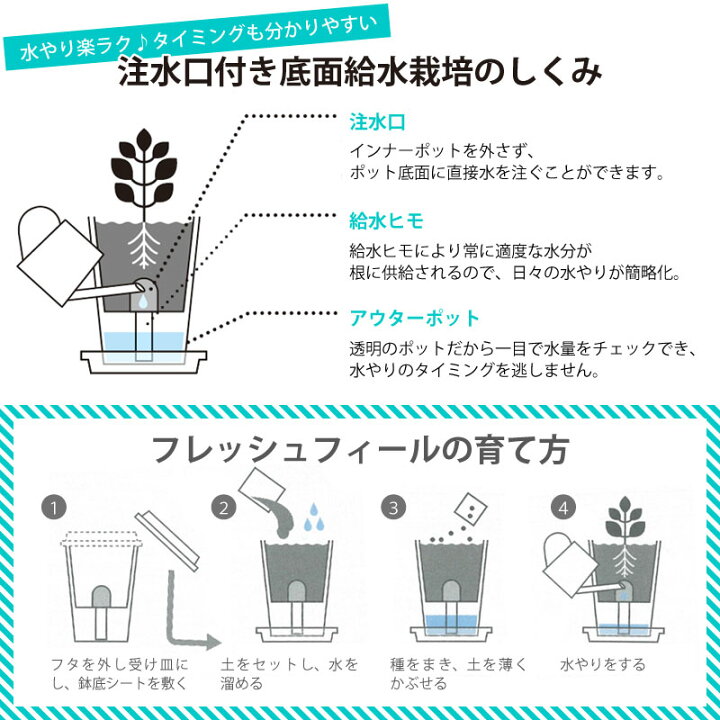 楽天市場 底面給水栽培セット フレッシュフィール 葉野菜 選べる4種類 サラダホウレンソウ レタス ベビーリーフミックス パクチー ギフト 芝生のことならバロネスダイレクト