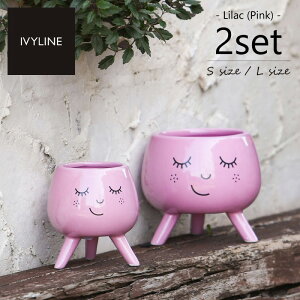 IVYLINE rttFCX|bg CbN sN 2Zbg STCYALTCY  Jo[ ꌊȂ  Mtg ϗtA