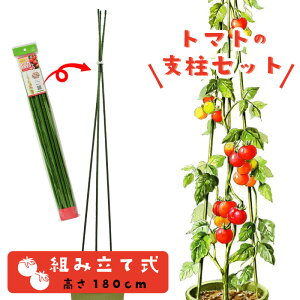 g}gxZbg rj^Ct g 180cm ƒ؉p