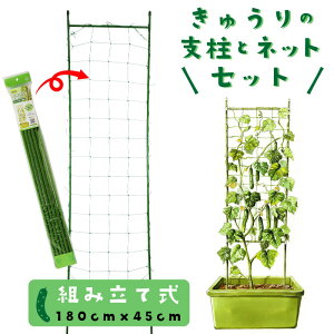 家庭菜園 キュウリ 支柱の人気商品 通販 価格比較 価格 Com