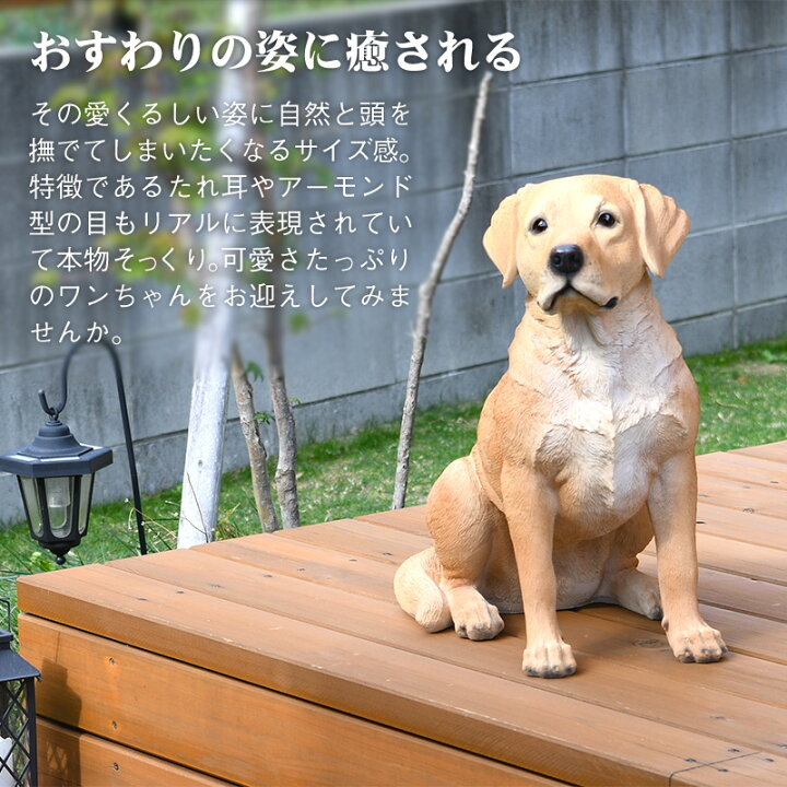 楽天市場 予約注文品 約１週間で出荷 ドッグオーナメント ラブラドール レトリバー 犬 オブジェ 置物 芝生のことならバロネスダイレクト