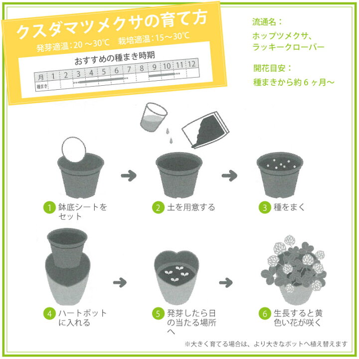 送料無料 シアワセの黄色の花咲くクローバー 栽培セット 園芸 贈り物 ガーデニング Gd 923 プレゼント キット ギフト