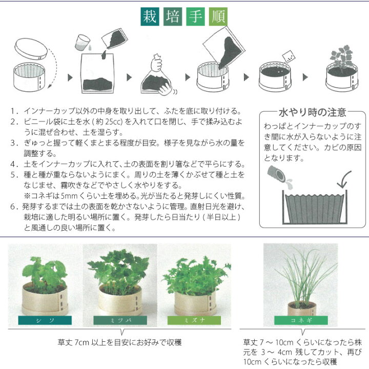 楽天市場 Wappa 和っ葉栽培セット 選べる4種類 シソ 三つ葉 小ネギ 水菜 家庭菜園 ギフト 芝生のことならバロネスダイレクト