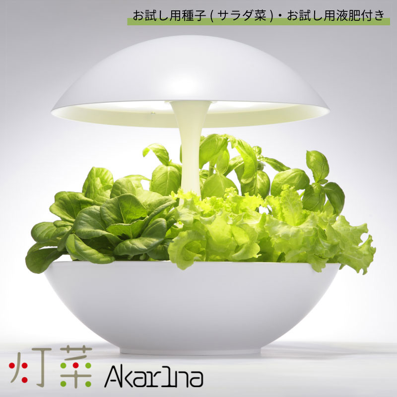 灯菜 LED水耕栽培器 AKARINA01 お試し用種(サラダ菜)付 お試し用液肥付