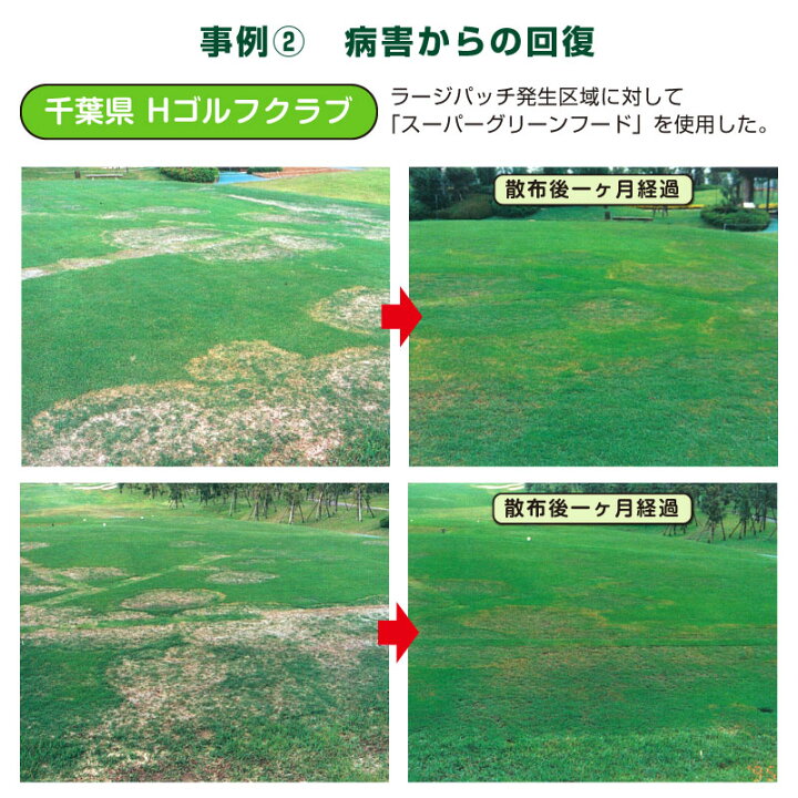 楽天市場 芝生用微生物発酵濃縮 活性有機肥料 スーパーグリーンフード kg 粉タイプ 環境改善 サッチ分解促進 病気対策 病害予防 芝生 のことならバロネスダイレクト