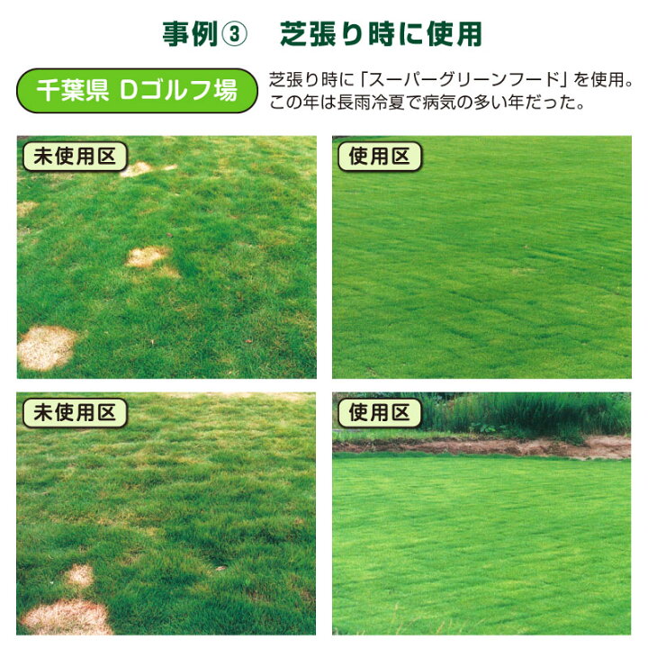 楽天市場 芝生用微生物発酵濃縮 活性有機肥料 スーパーグリーンフード kg 粉タイプ 環境改善 サッチ分解促進 病気対策 病害予防 芝生 のことならバロネスダイレクト