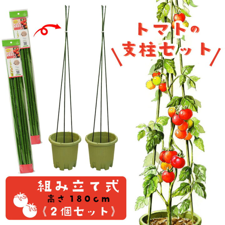 楽天市場 トマト支柱セット ビニタイ付き 組立式 高さ180cm 家庭菜園用 2個セット 芝生のことならバロネスダイレクト