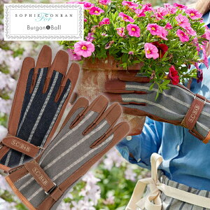 BurgonBall \tBER K[fO[u Iׂ2F XgCv O[ u[  K[fjO puh Mtg d 