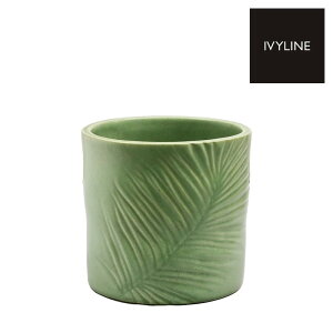 IVYLINE L[EXg[EFA TRp[ v^[ a14cm I[u   Jo[ ꌊȂ ϗtA L[K[f
