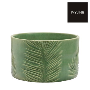 IVYLINE L[EXg[EFA TRp[ {E a24cm I[u   Jo[ ꌊȂ ϗtA L[K[f