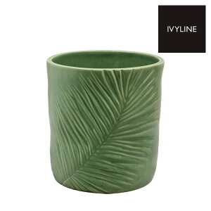 IVYLINE L[EXg[EFA TRp[ v^[ a18cm I[u   Jo[ ꌊȂ ϗtA L[K[f