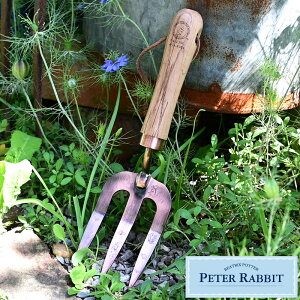 s[^[rbg XeX|tH[N nh^Cv K[fjO ObY G Mtg ObY